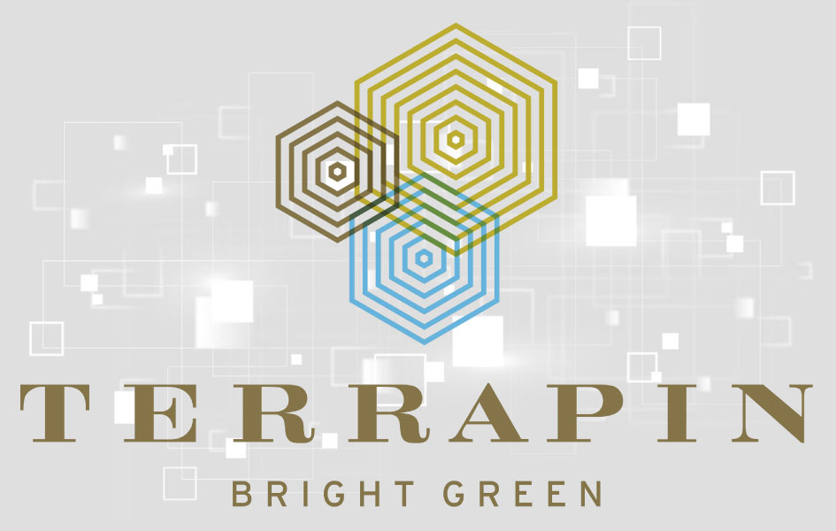 Terrapinn